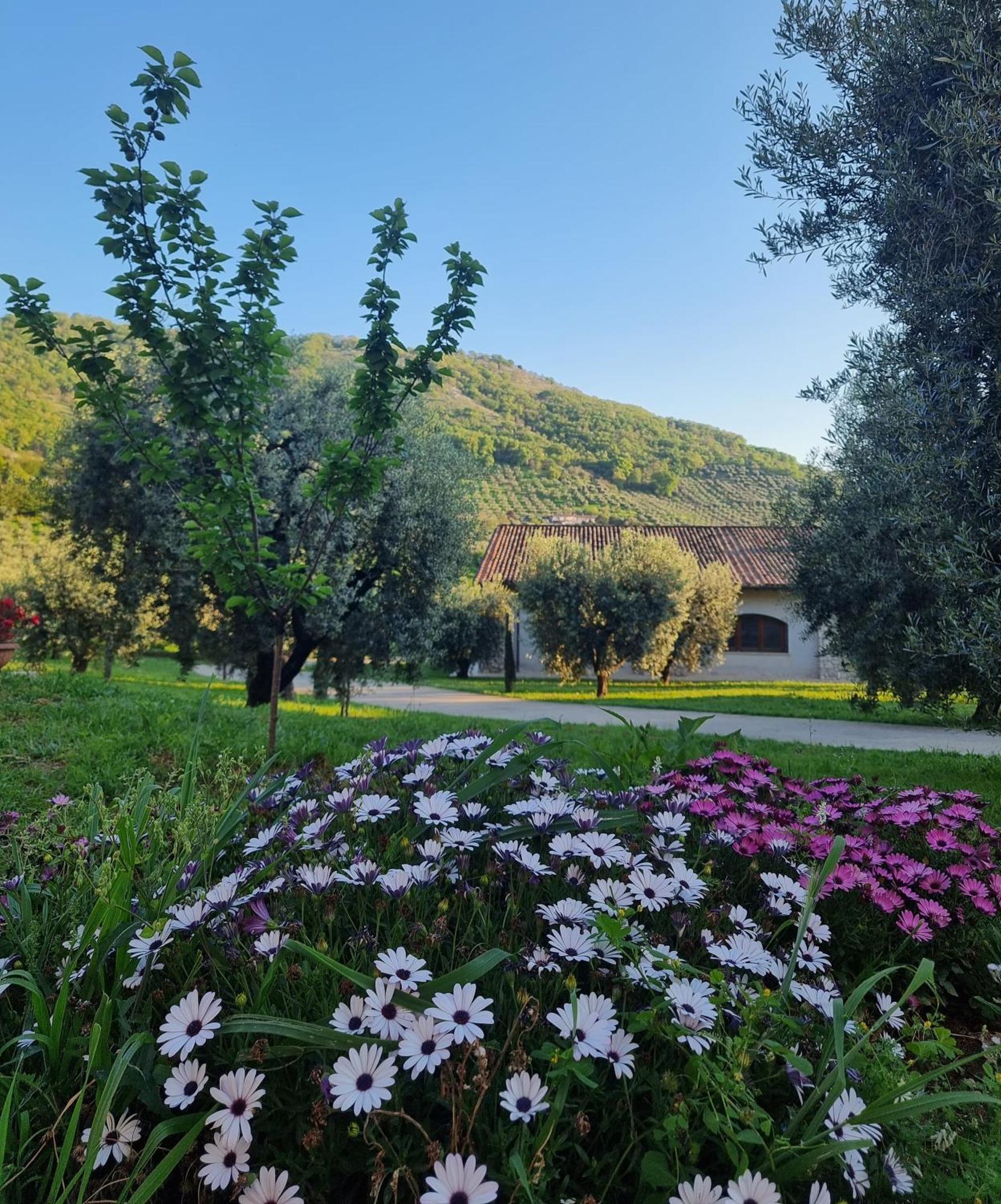 Casale Dei Priori Bed and Breakfast Rocca Massima Esterno foto